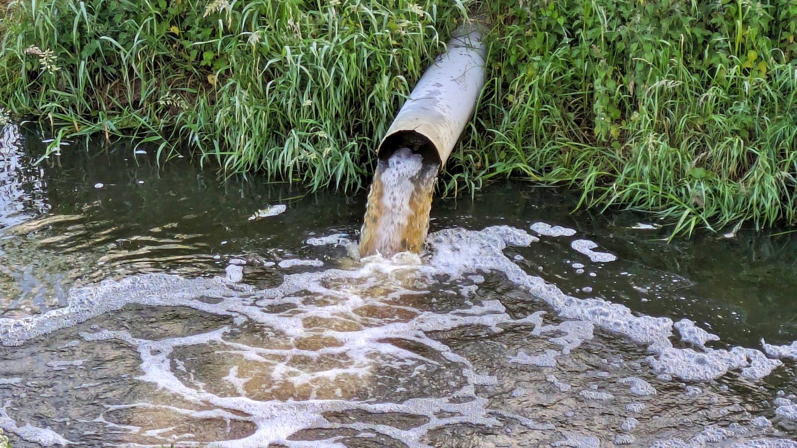 Water firm faces £63m penalty over ‘excessive’ sewage spills | Money News